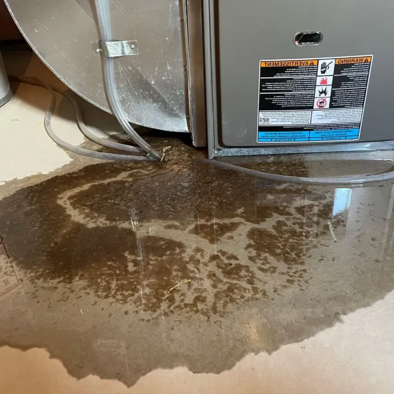Pipe Burst and Leak Restoration in Hayfield, MN